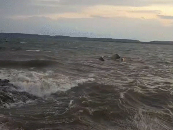 जिनको तैरना आता था, वे तैरकर डैम के किनारे आ गए।