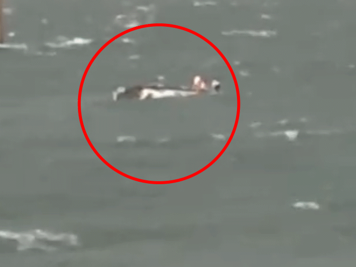 बताया जा रहा है कि क्रूज में सवार ज्यादातर लोगों ने लाइफ जैकेट नहीं पहनी थी।