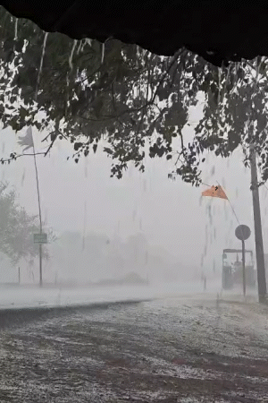 आज भी रांची सहित 12 जिलों में बारिश की चेतावनी जारी की गई है।