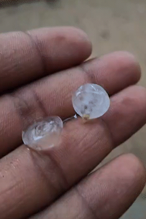 चतरा में आंधी-तूफान और बारिश के बीच ओले भी गिरे।