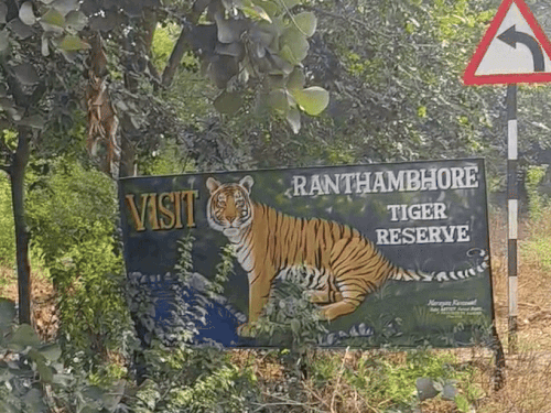 Ranthambore Tiger Reserve of Sawai Madhopur is divided into two parts. Its total area is about 1700 square kilometers.