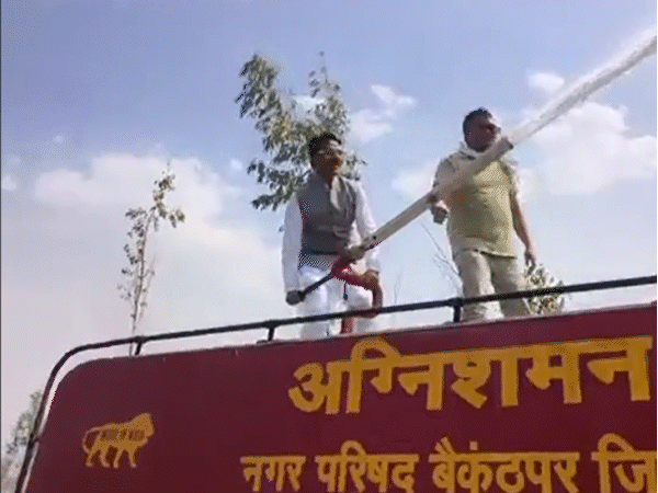 रीवा के मनगवां से भाजपा विधायक नरेंद्र प्रजापति एक खेत में लगी आग बुझाते नजर आए।