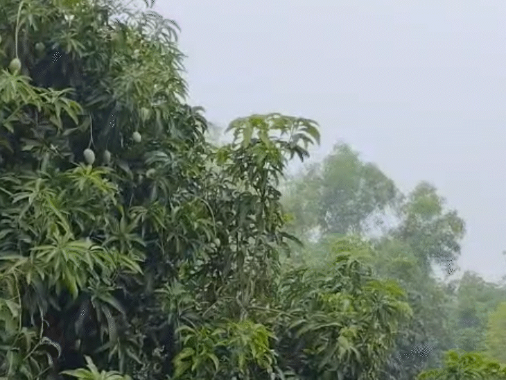पलामू, गढ़वा और चतरा जिलों में आज हीट वेव का असर बना रहेगा।