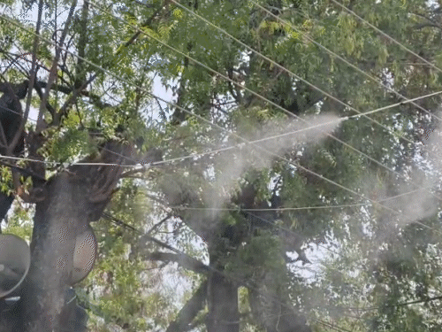 छत्तीसगढ़ के धमतरी में पाइप लगाकर ठंडी बौछारें छोड़ीं गईं।