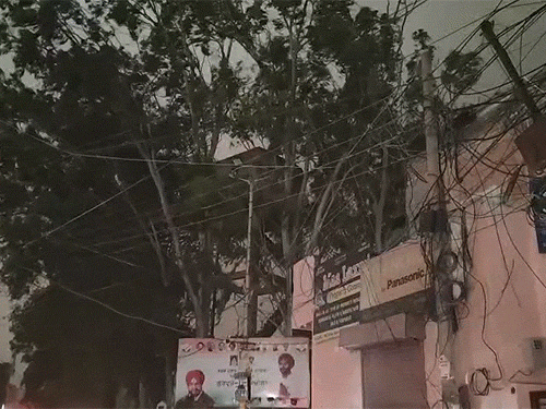 चंडीगढ़ में आंधी के कारण पेड़ गिरे।