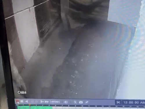 पूर्णिया में मोबाइल शॉप में भीषण चोरी:  शटर काटकर 40 लाख का मोबाइल और कैश ले गए चोर; CCTV में वारदात कैद – Purnia News
