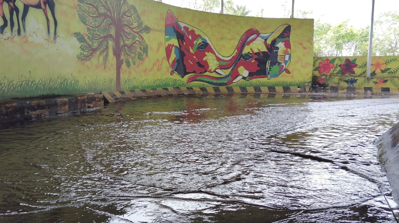 Kashida Railway Underpass Turns Into a Pond During Rains