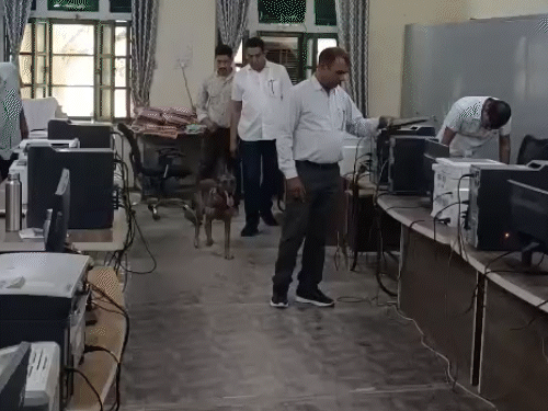 डॉग स्क्वाड, और पुलिस की टीम ने हर एंगल से चप्पे-चप्पे की तलाशी ली।