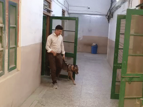 कलेक्ट्रेट में 16 साइनाइड बम होने की धमकी भरा ईमेल आने के बाद जांच जुटी टीमें।