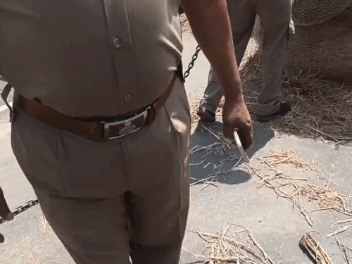 मामले की जानकारी देते ट्राफिक जॉन इंचार्ज हरप्रीत सिंह।