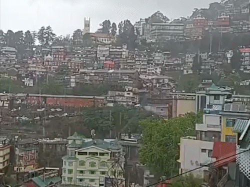 शिमला में दोपहर बाद तेज बारिश हुई।