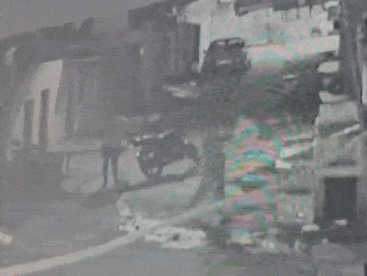 Guna Dog Beating Death | Accused Washes Blood; Video Surfaces
