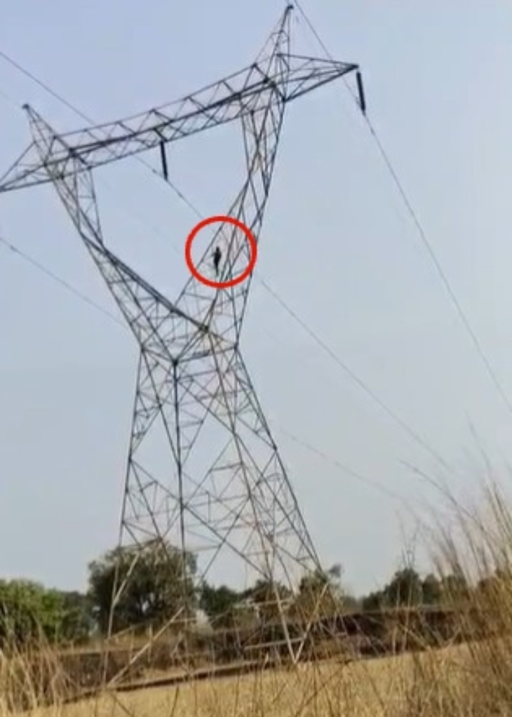 मना करने पर भी वह नीचे नहीं उतरा बल्कि और ऊपर चढ़ते जा रहा था।