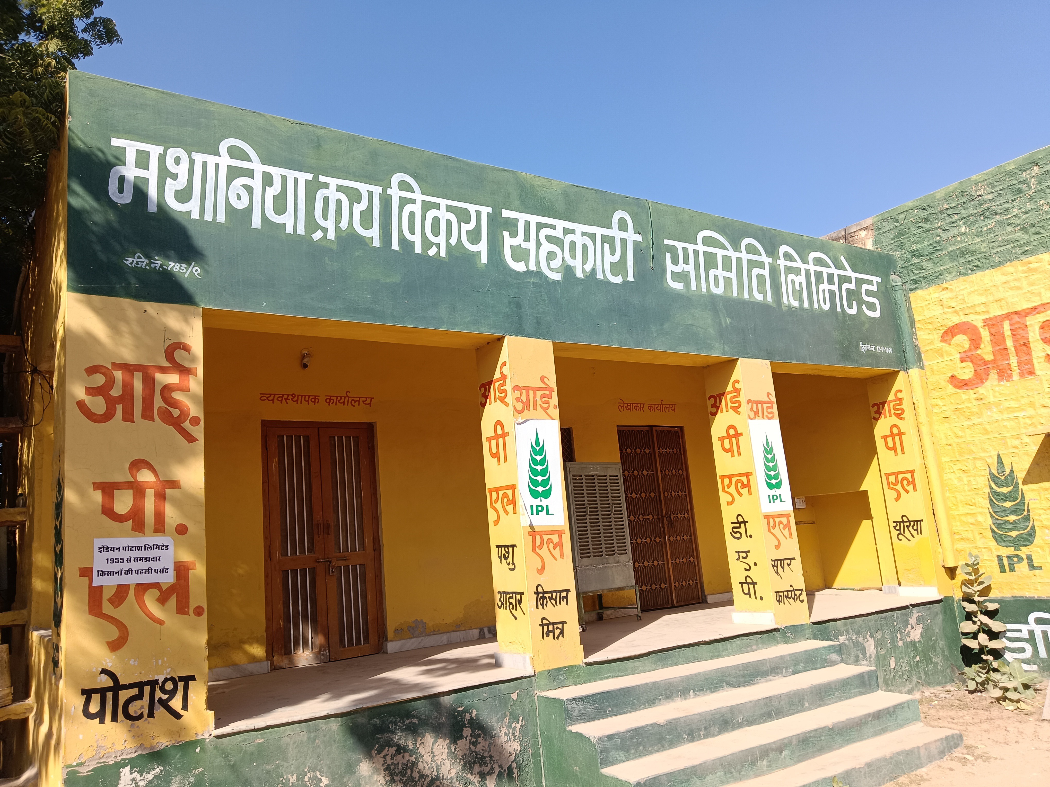 Mathania Farmers Skip MSP for Higher Market Rates | Mustard Prices Soar