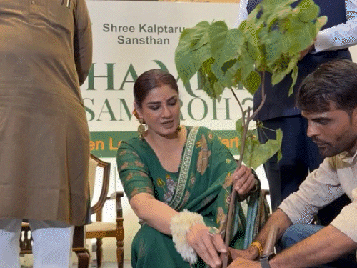 कार्यक्रम में रवीना ने सिंदूर का पौधा भी लगाया।