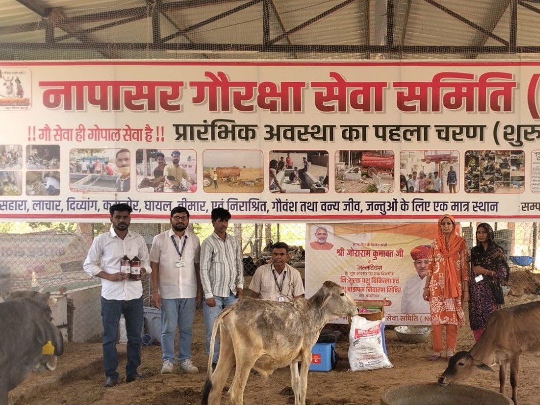 Napasar Napasar Cattle Infertility Camp | Animal Husbandry Minister Birthday ...