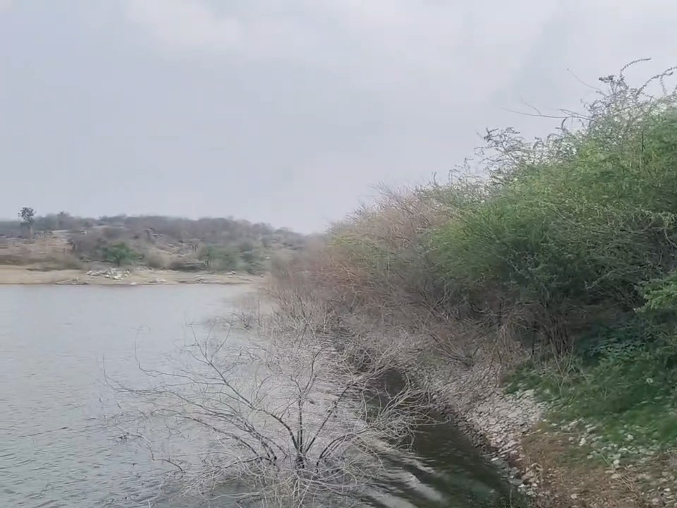 Kanthadi Dungarpur Kanthadi Dam Danger: Seepage & Babool Threat; Neglect Alleged