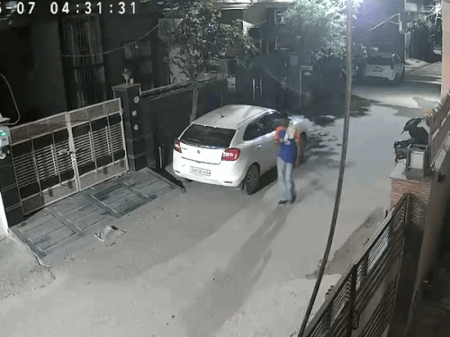 इलाके में घूमता चोर।