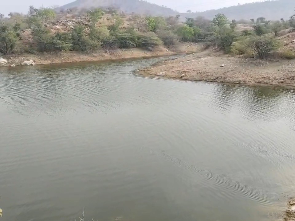Kanthadi Dungarpur Kanthadi Dam Danger: Seepage & Babool Threat; Neglect Alleged