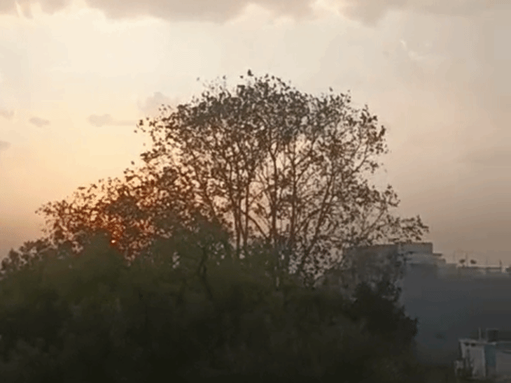 सीहोर में गुरुवार शाम को आंधी चली।