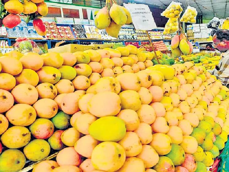 भारतीय आम का क्रेज; 33प्रतिशत महंगा, फिर भी एडवांस बुकिंग:  अल्फांसो, केसर, चौसा और लंगड़ा सबसे ज्यादा पसंद किए जा रहे