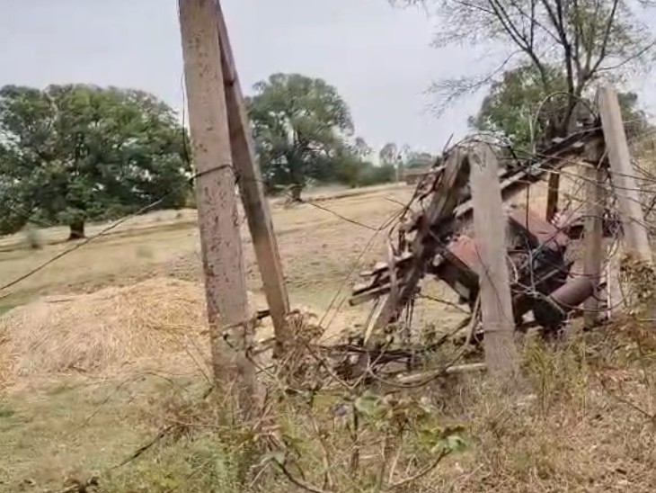 बिजली ट्रांसफार्मर पर गिरा विशाल आम का पेड़, बिजली गुल हो गई।