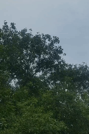तस्वीर सुबह 8 बजे की है, हल्की ठंडी हवा चल रही थी।