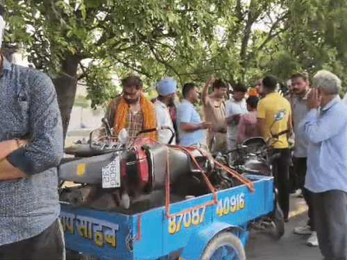 Karnal Road Accident: Rice Mill Cook Dies After Bike Crashes Into Tree