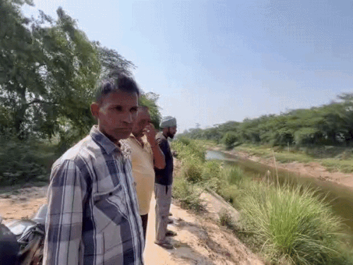 कुरुक्षेत्र SYL नहर में मगरमच्छ देखकर सूचना देने वाले लोग। - Dainik Bhaskar