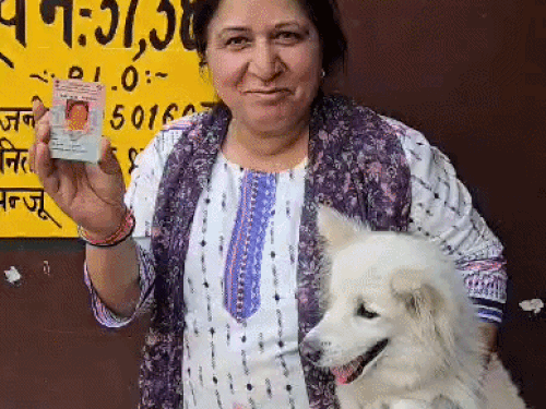 Haryana Panchayat Elections LIVE: Voting Drama in Rewari & Hissar