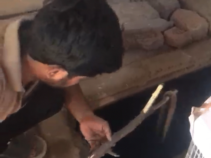 टंकी से युवक ने मरा हुआ सांप निकाला।