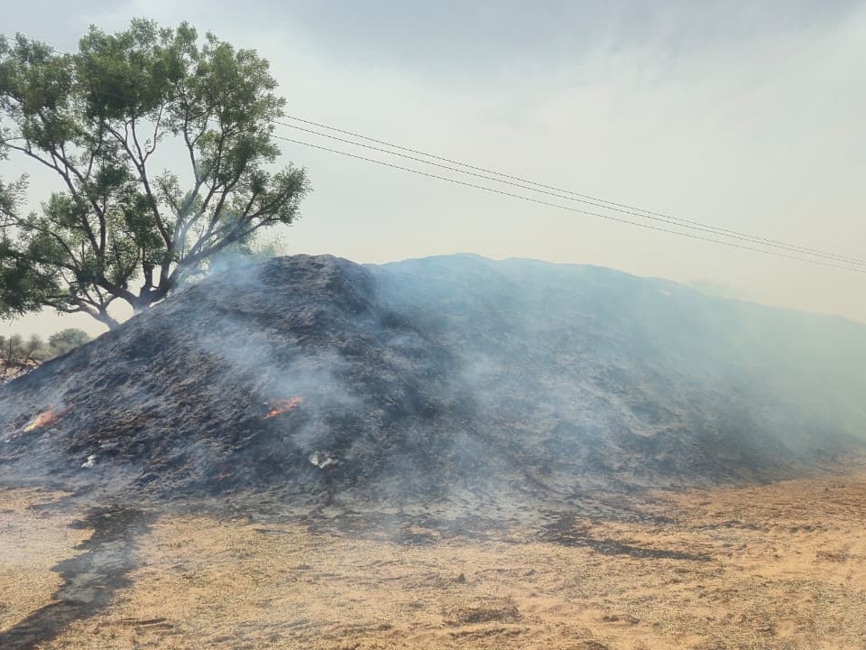 सरसों के कचरे का बड़ा स्टॉक जलकर राख हो गया।