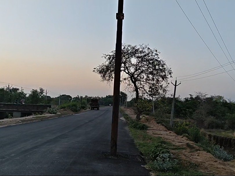 Pali-Sahjnpur Canal Road Electric Poles Danger | Officials Promise Action