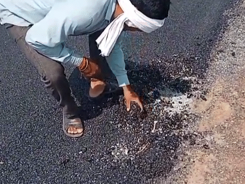 एक किलोमीटर की सड़क महज कुछ दिन में उखड़ने लगी है।
