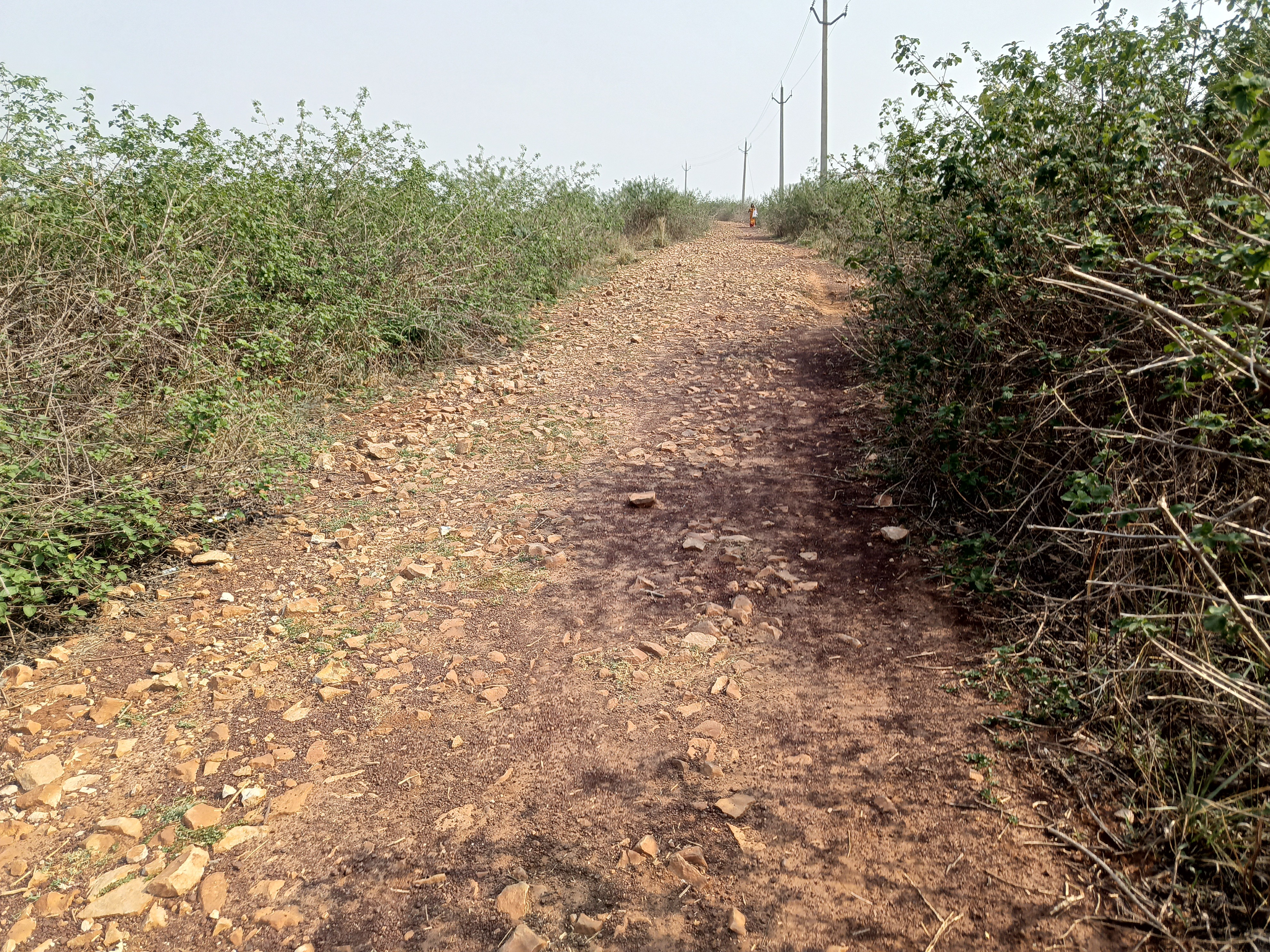 Pawal-Gokula Road Danger | Villagers Demand Construction