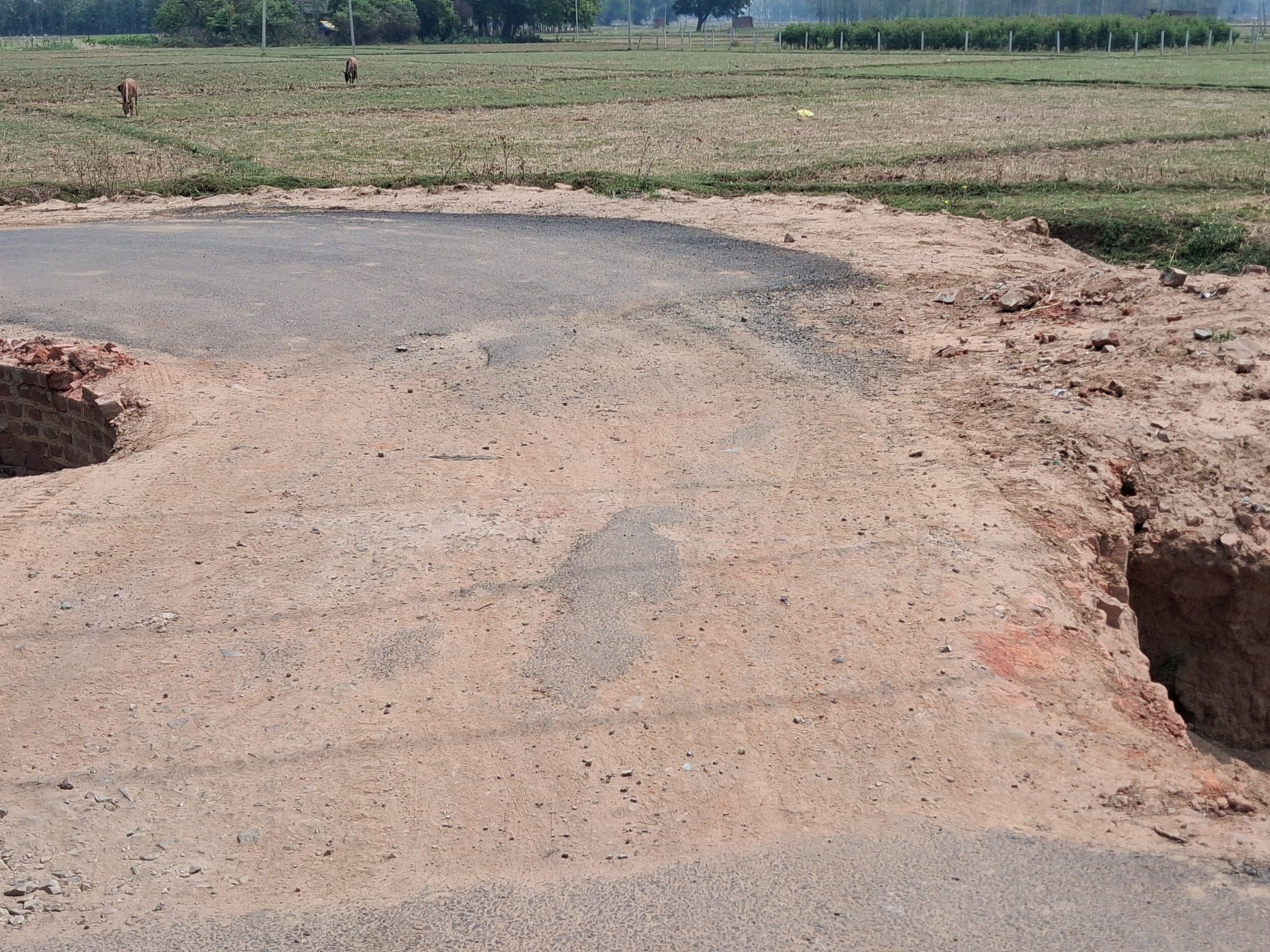 Kesath Canal Bridge Danger | Jayrampur Repair Demand