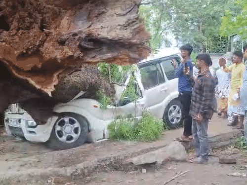 उत्तर प्रदेश के गोंडा में आंधी के बाद कार पर पेड़ गिर गया।