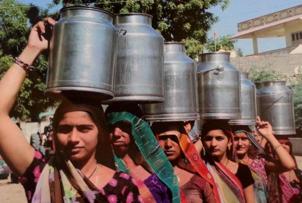 After filling the milk of cattle in cans, it is transported to the collection center.