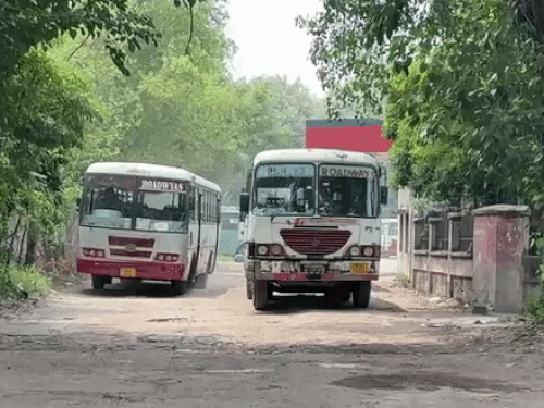 पंजाब रोडवेज की बसें।