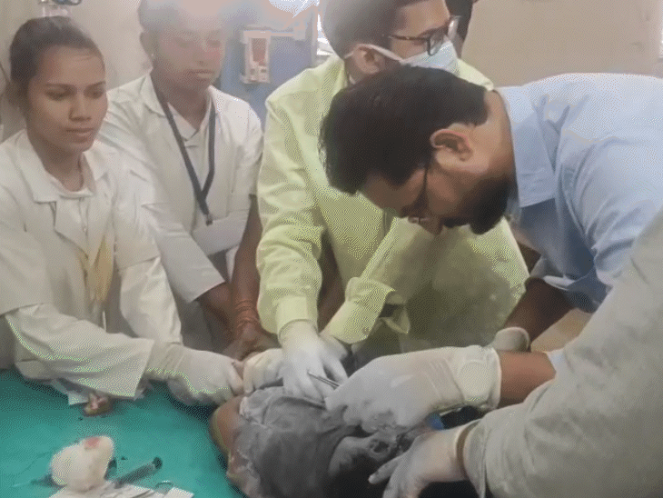 ये 5 साल की बच्ची है, जो घर के बाहर खेल रही थी। कुत्ते ने इसका गाल बुरी तरह से नोंच लिया।