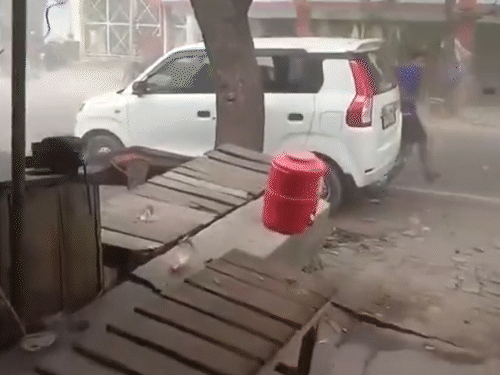 उत्तर प्रदेश के उन्नाव में कार पर नीम का पेड़ गिर गया।