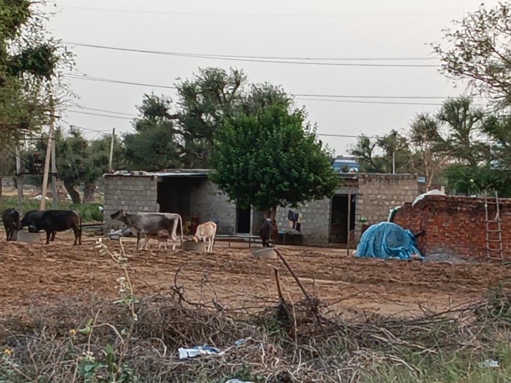 गुढ़ागौड़जी में प्रदीप का घर।