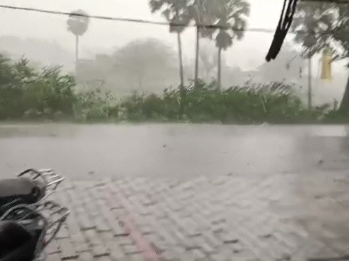 Bihar Storm & Rain Alert: Early Monsoon Winds Hit 60 Kmph