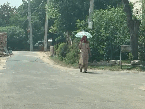 हिसार में गर्मी के कारण दोपहर में सड़कें सुनसान हो रही हैं।