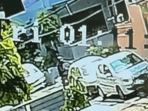 युवक तुरंत अपनी बाइक को मोड़कर उसी रास्ते भाग गया, जहां से वह आया था।