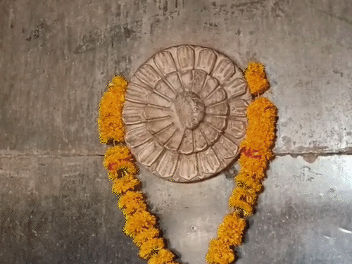 सभी पदाधिकारियों ने यज्ञ कुंड के पास पहुंचकर दर्शन किया और हनुमान चालीसा पाठ किया। - Dainik Bhaskar