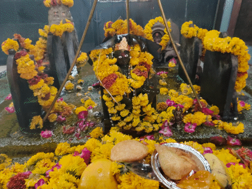 वट सावित्री व्रत और अमावस्या का विशेष संयोग; दान-पुण्य और पूजा का विशेष महत्व|ग्वालियर,Gwalior - Dainik Bhaskar
