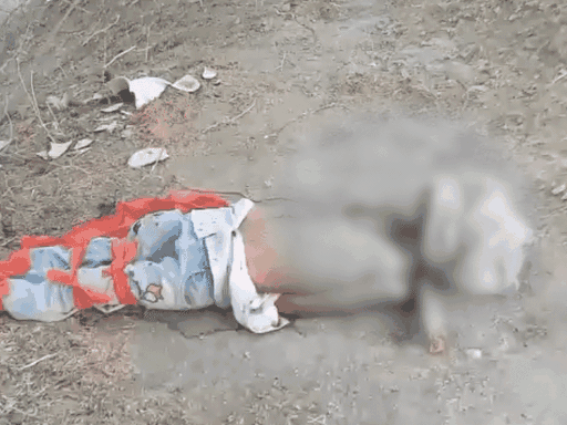 बच्चे का शव गांव के बाहर जंगल में एक तालाब के किनारे मिला था।