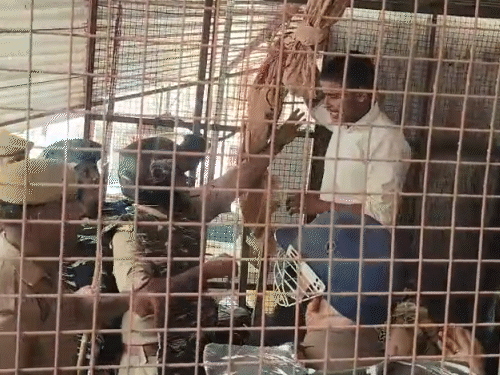 लखनऊ में वकीलों पर लाठीचार्ज, पथराव; सेंट्रल बार एसोसिएशन ने किया कोर्ट बंद का आह्वाहन