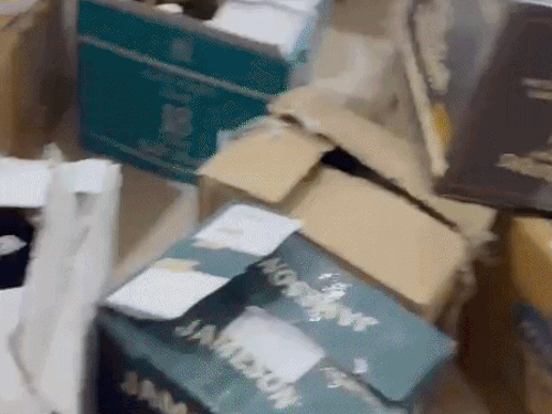 गुरुग्राम में पुलिस और आबकारी विभाग के अधिकारियों द्वारा बरामद की जा रही महंगी शराब की पेटियां - Dainik Bhaskar